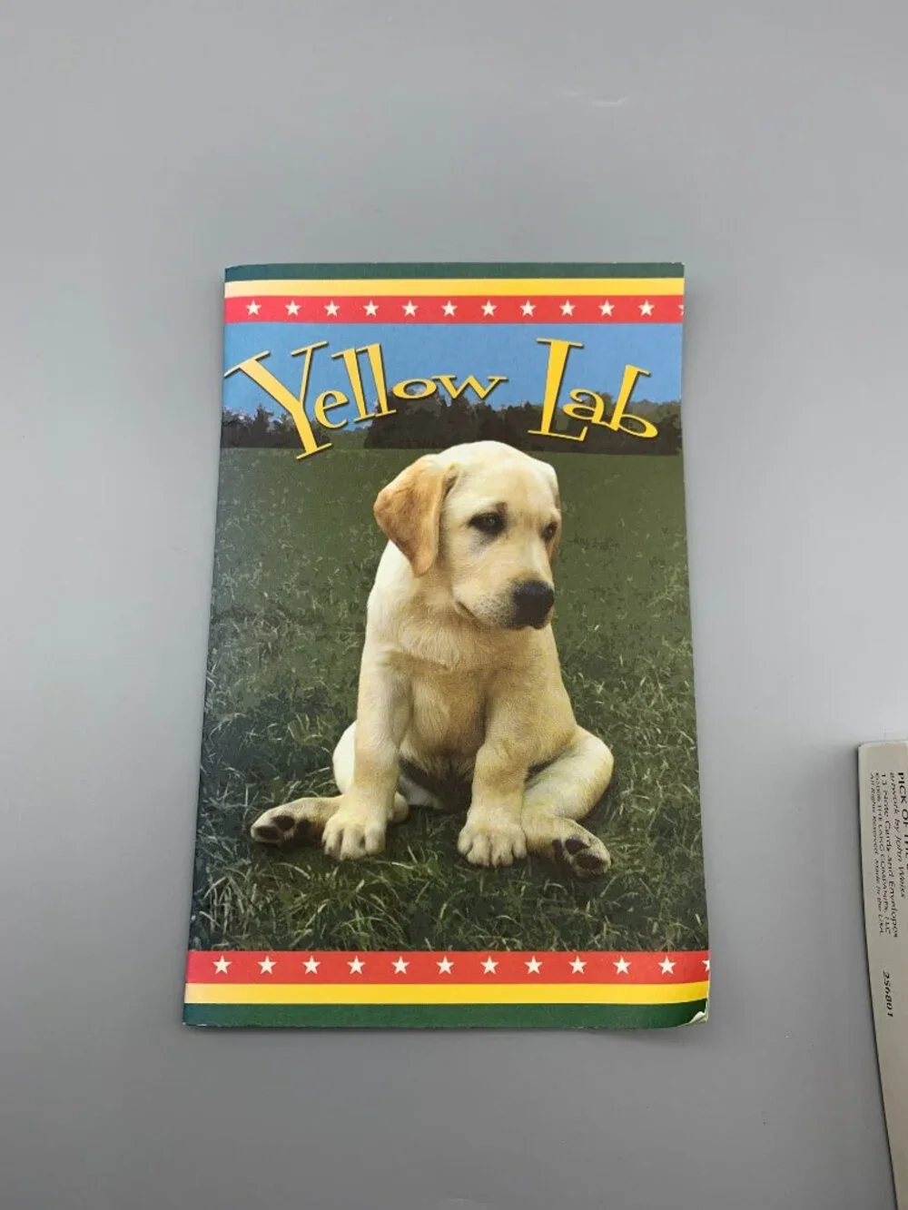 NEW Box Lang Lab Note Cards with Envelopes and Yellow Lab Book